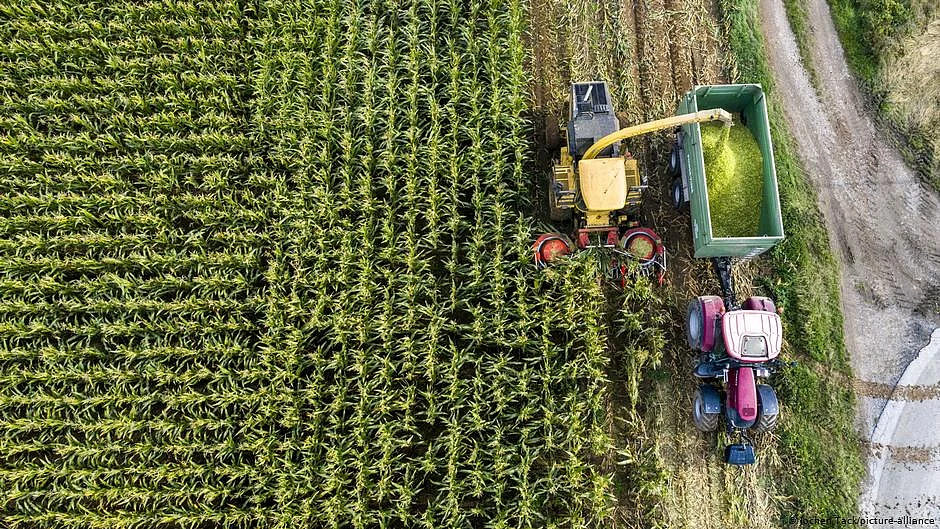 Advancement of Indian Agriculture, Food and National Security: Two lessons from Thailand