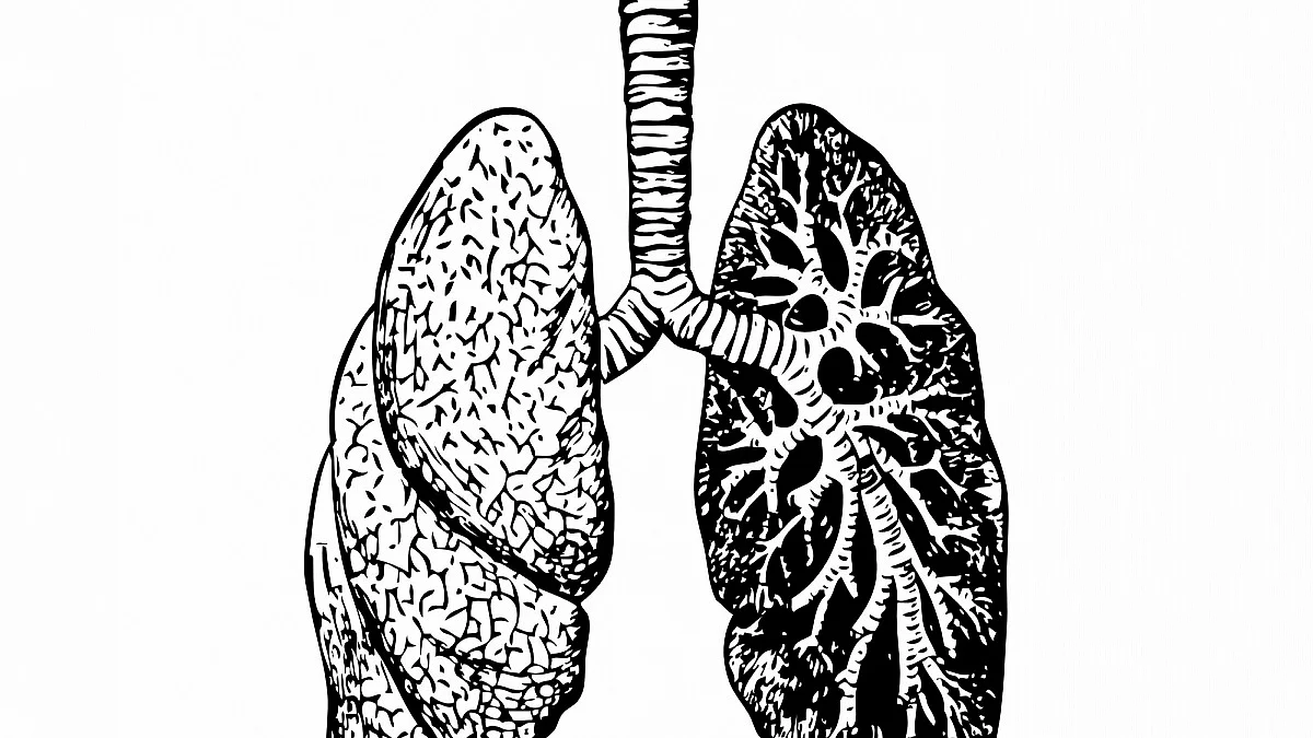 Representative Image (Photo Courtesy: IANS)