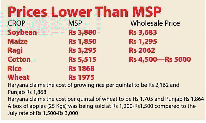 Farmers: If private sector is ready to pay prices higher than MSP, why not make this floor price mandatory ?