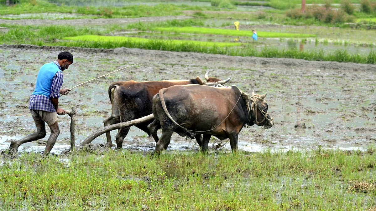 IANS Photo (Representative)