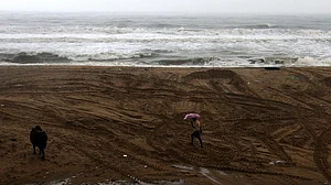 3 killed as cyclone Nivar wreaks havoc in Tamil Nadu