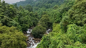 22 Miyawaki forests spots launched by Kerala Tourism