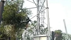 Farmers in Punjab vent anger against Reliance Jio, over 1500 towers damaged so far