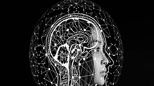Brain cell that can help track distance discovered
