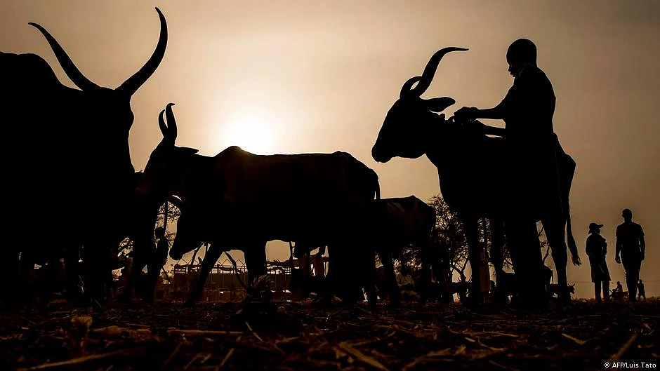 Representational image (photo: NH)