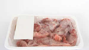 Higher meat intake linked to symptoms of childhood asthma