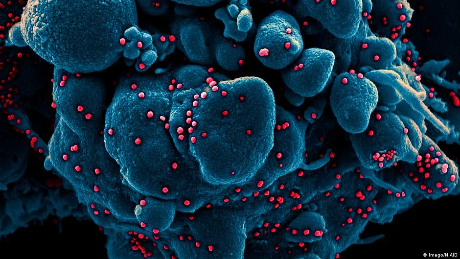 India reports 6915 new Covid infections; active cases below 1 lakh after 2 months