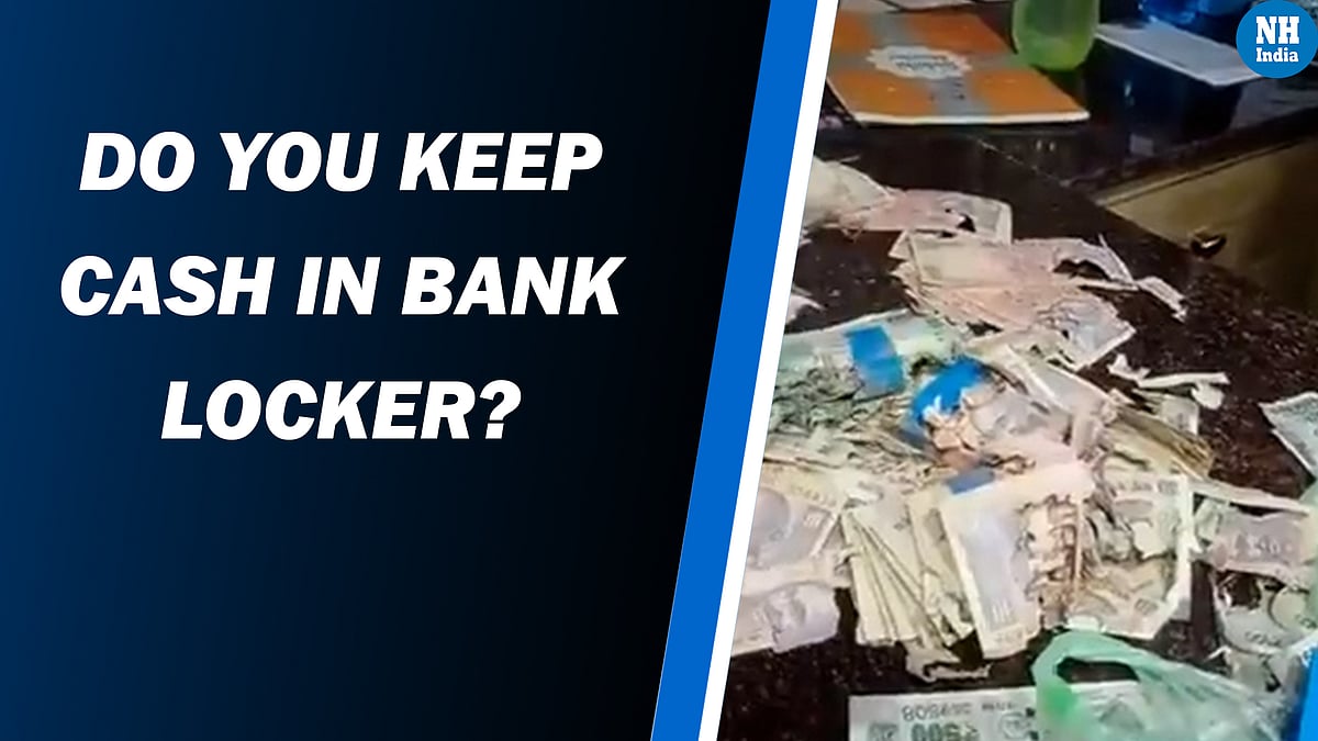 Termites eat Rs 2.2 lakh cash kept in bank locker! ‘unnatural incident’, rectified it, says bank 