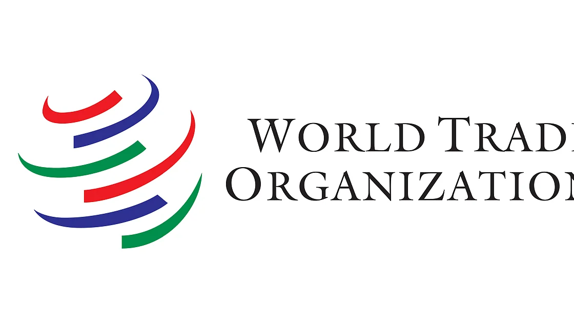 India becoming most attractive destination for dumping foreign goods, says WTO’s Trade Policy Review