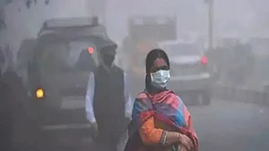 Chloride-rich particles linked to visibility reduction over Delhi