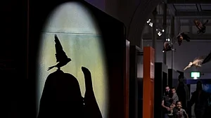 Australia’s oldest museum offers late night entertainment