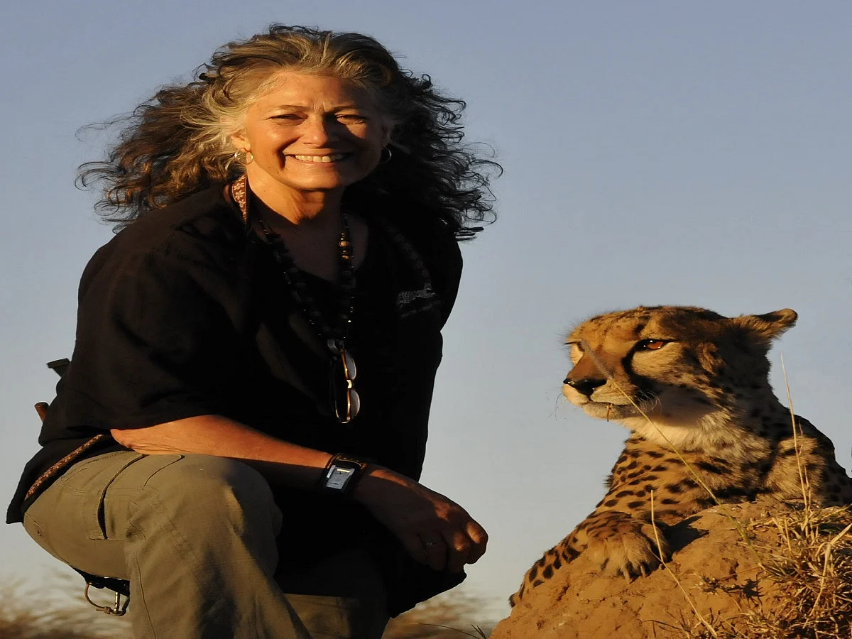 Exciting to think of India as having cheetahs again: Dr Laurie Marker, founder, Cheetah Conservation Fund