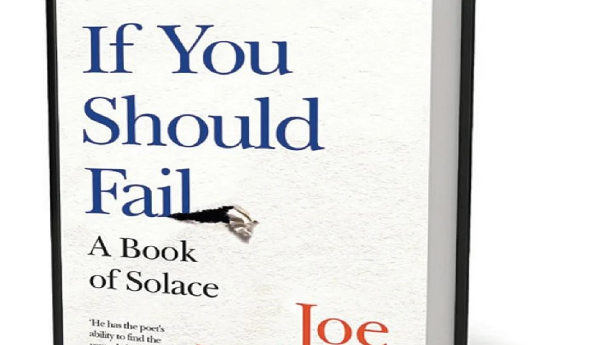 It’s fine to fail, failures are not quite the ‘pillars of success’