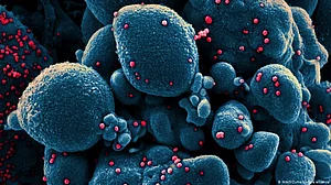 US announces USD 122 million fund for India to address challenges posed by infectious diseases