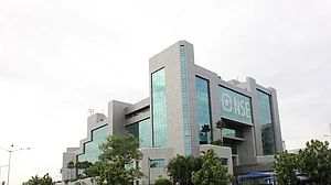 Impact on online risk management system led to trading halt: NSE