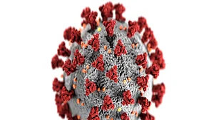 Alzheimer’s gene linked to COVID-19 risk
