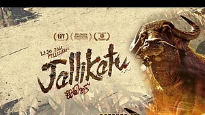 ‘Jallikattu’ fails to make the cut at Oscars