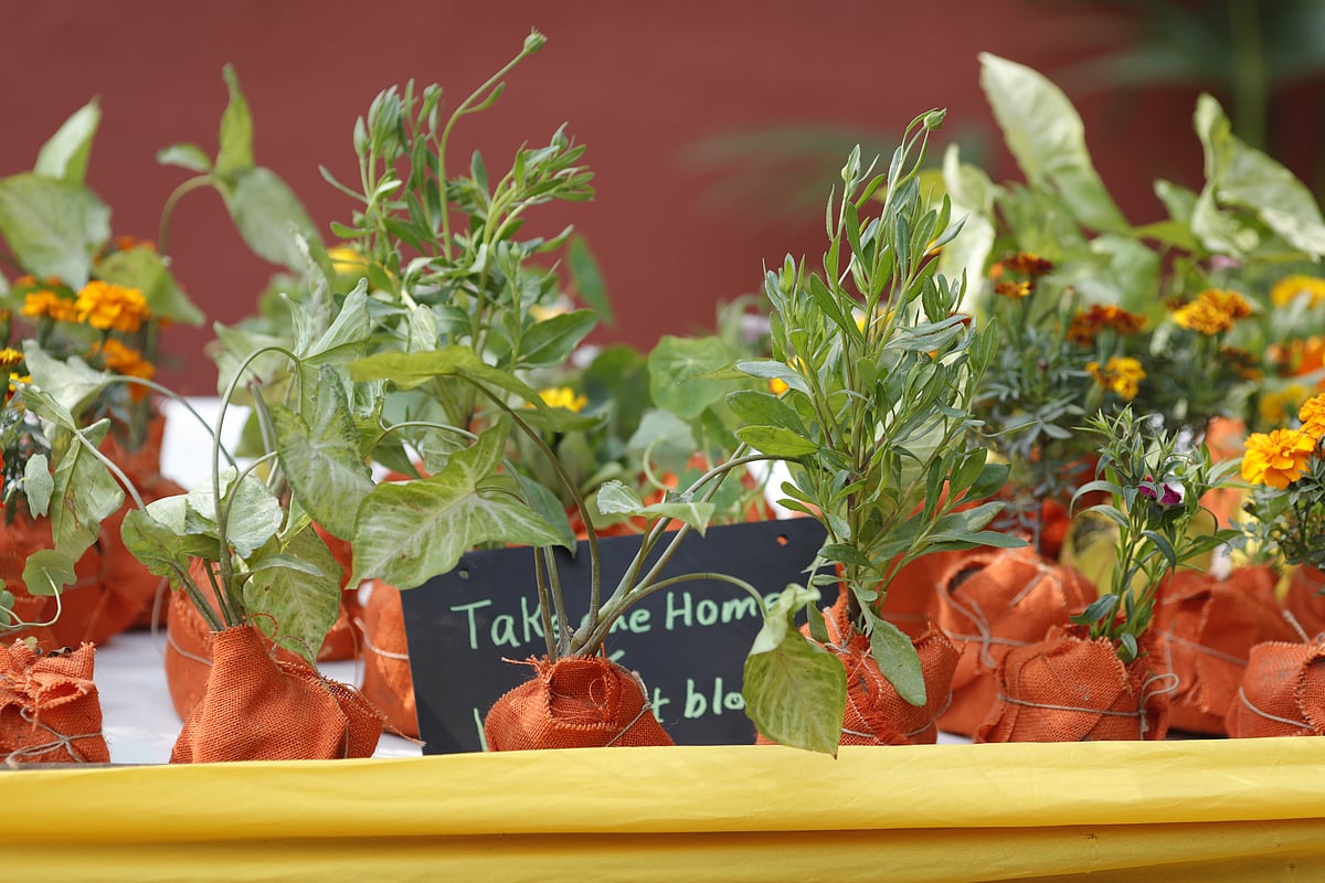 Inspiring! Big fat Indian marriage gets a facelift with eco-friendly wedding in Delhi