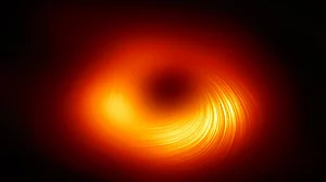 Astronomers obtain 1st image of black hole’s magnetic fields