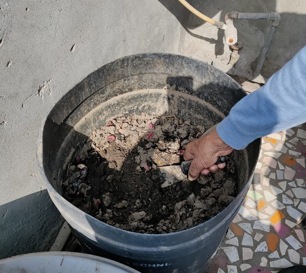 All about terrace gardening by an elderly plant lover in the city