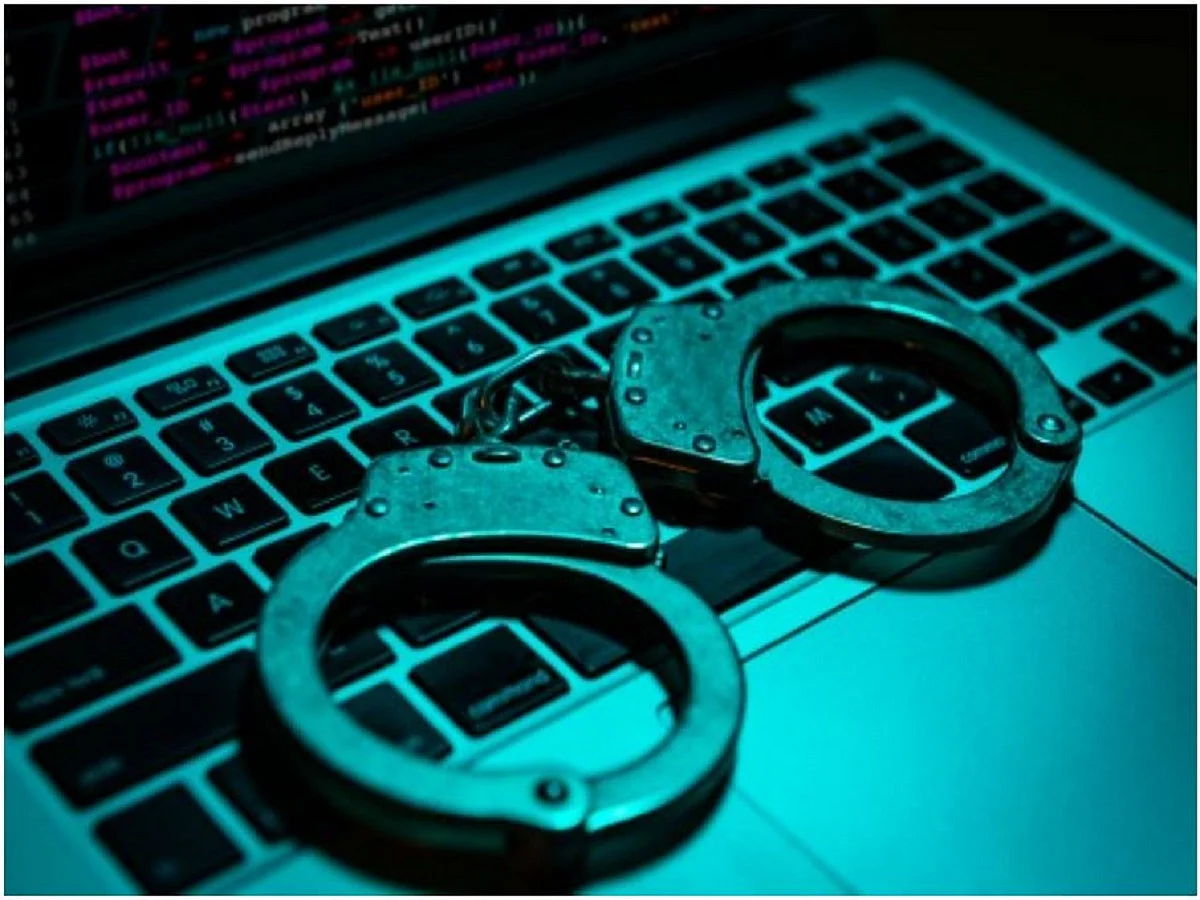 Ex-bureaucrats urge change in procedures for electronic evidence in view of Rona Wilson’s case