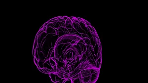 Head injuries may worsen cognitive decline decades later