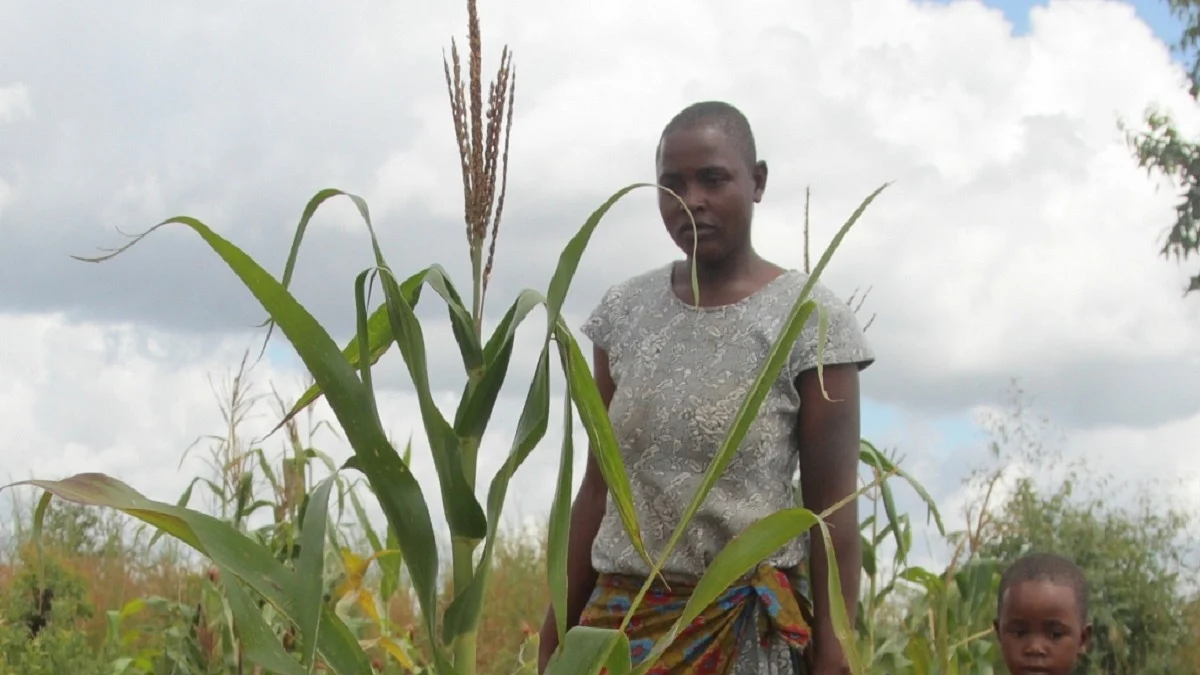 Photo Courtesy: IANS