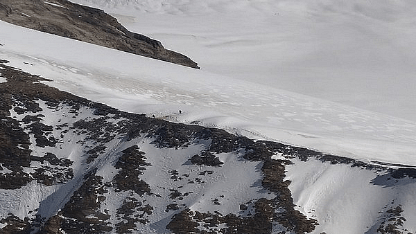 Uttarakhand avalanche: 2 dead, 291 labourers safely rescued