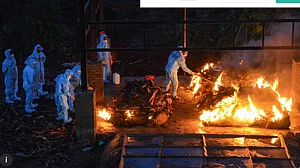 COVID-19: Conversations in Gujarat reflective of what people are going through