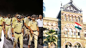 Public are the worst victims of the police-politician competition for power