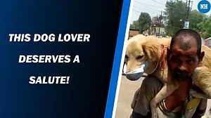 Homeless Man gives his only mask to the dog, video goes viral