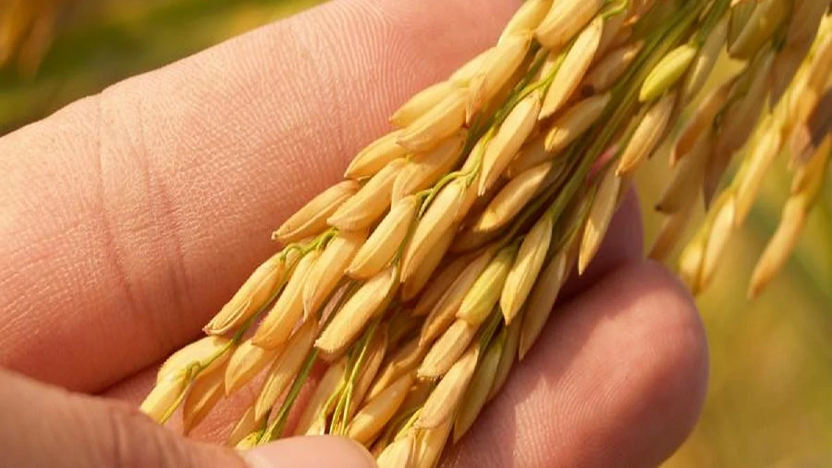 Representative Image (Photo Courtesy: Social Media)