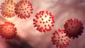 Covid entering endemic stage in India, cases likely to start subsiding after 10-12 days