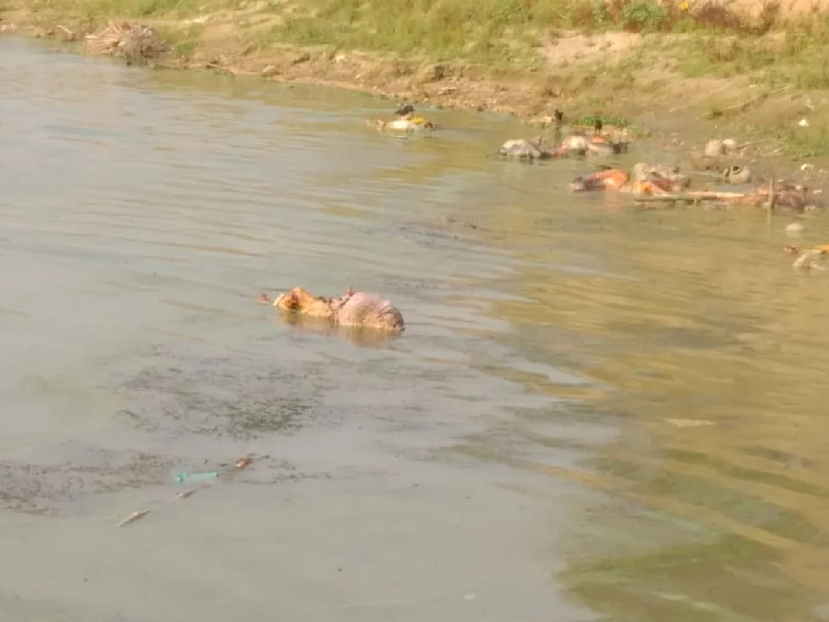 Bodies of dead COVID patients floating in river a clear manifestation of collapse of governance in UP, Bihar 