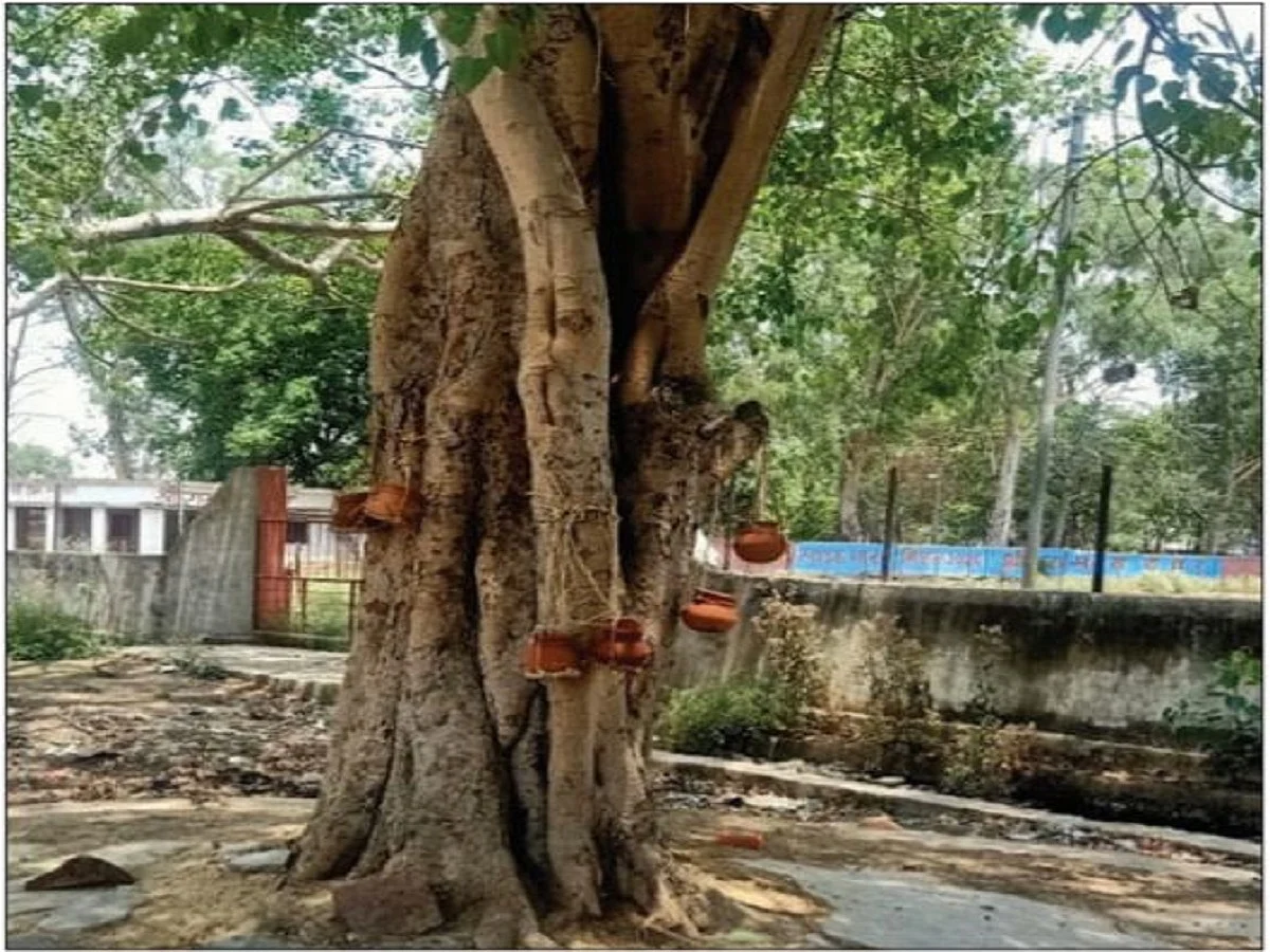 High costs of cremation forcing villagers in Uttar Pradesh to bury the dead or dump bodies in the river