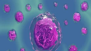 New drug combo found effective against high-risk leukaemia