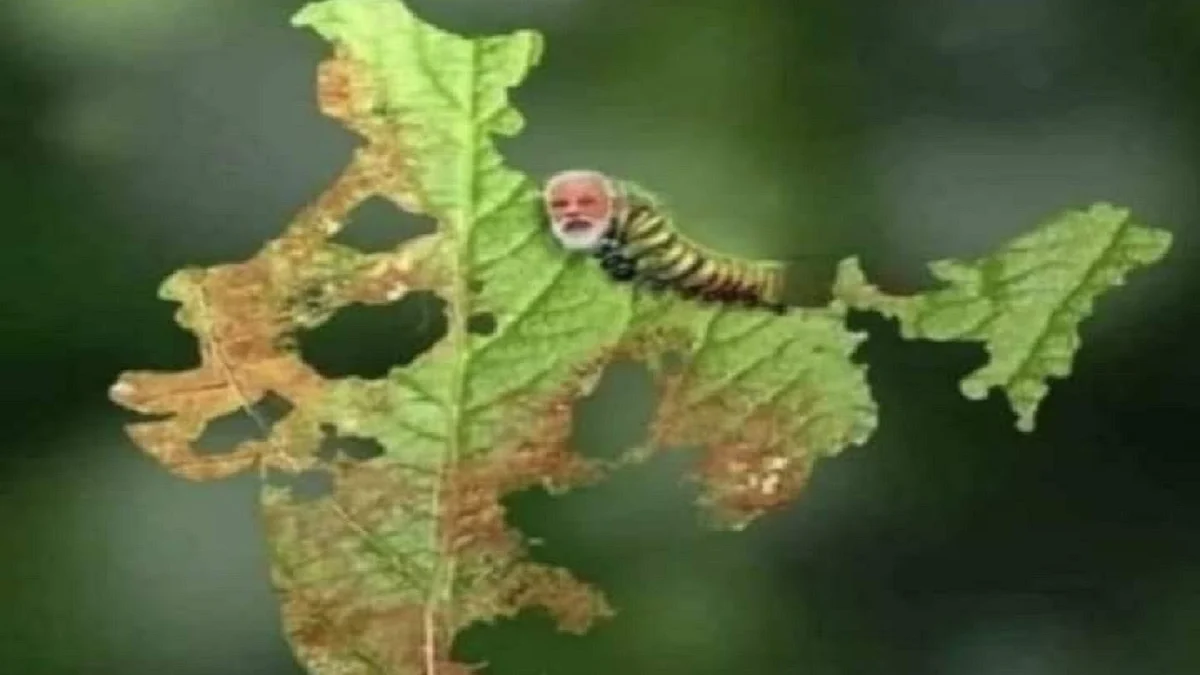 Photo Courtesy: Twitter/@avinashonly