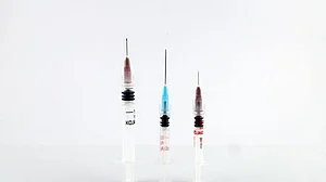 Russia begins production of world's first COVID vax for animals