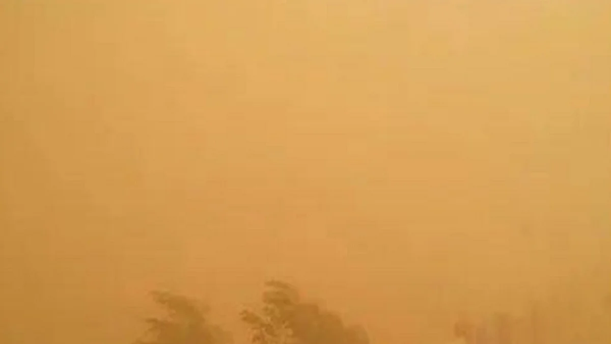 Representative Image (Photo Courtesy: IANS)