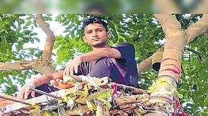 Innovative! COVID positive Telangana youth spends 11 days on tree to save his family from being infected