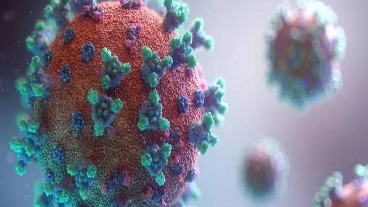 Representative Image (Photo Courtesy: IANS)