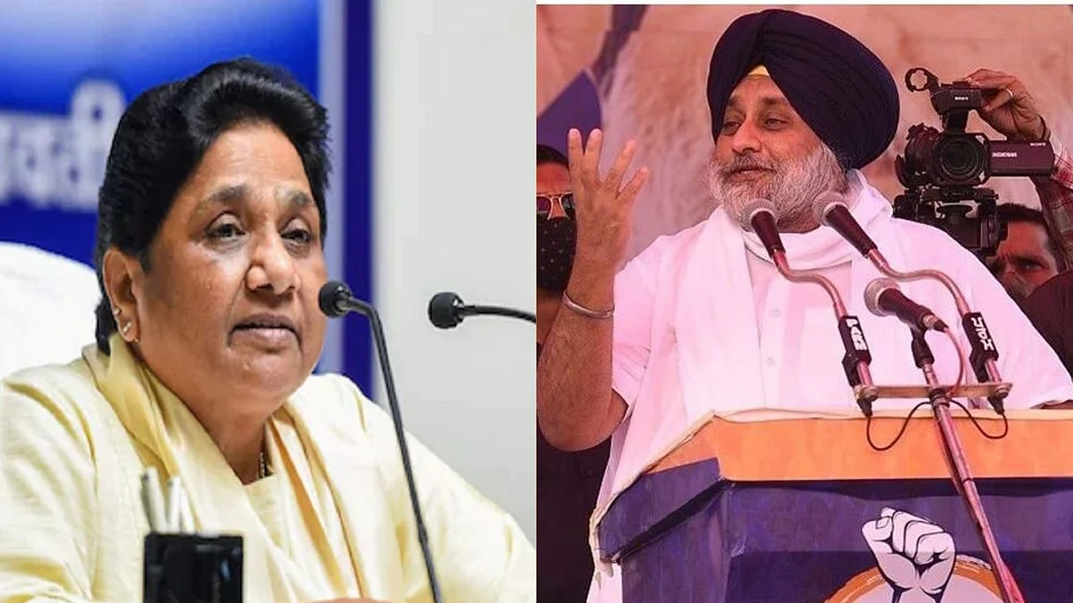 SAD, BSP form alliance for 2022 Punjab Assembly polls