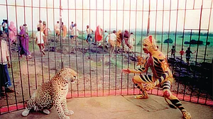 A still from 'Bagh Bahadur'