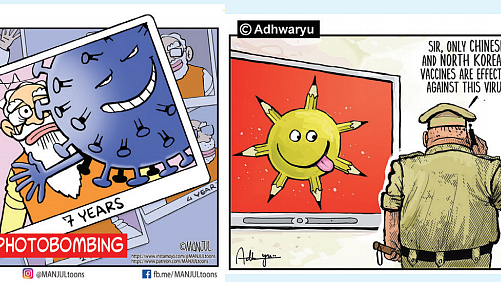 Can the Government take action against cartoonists without complaints and inquiry?