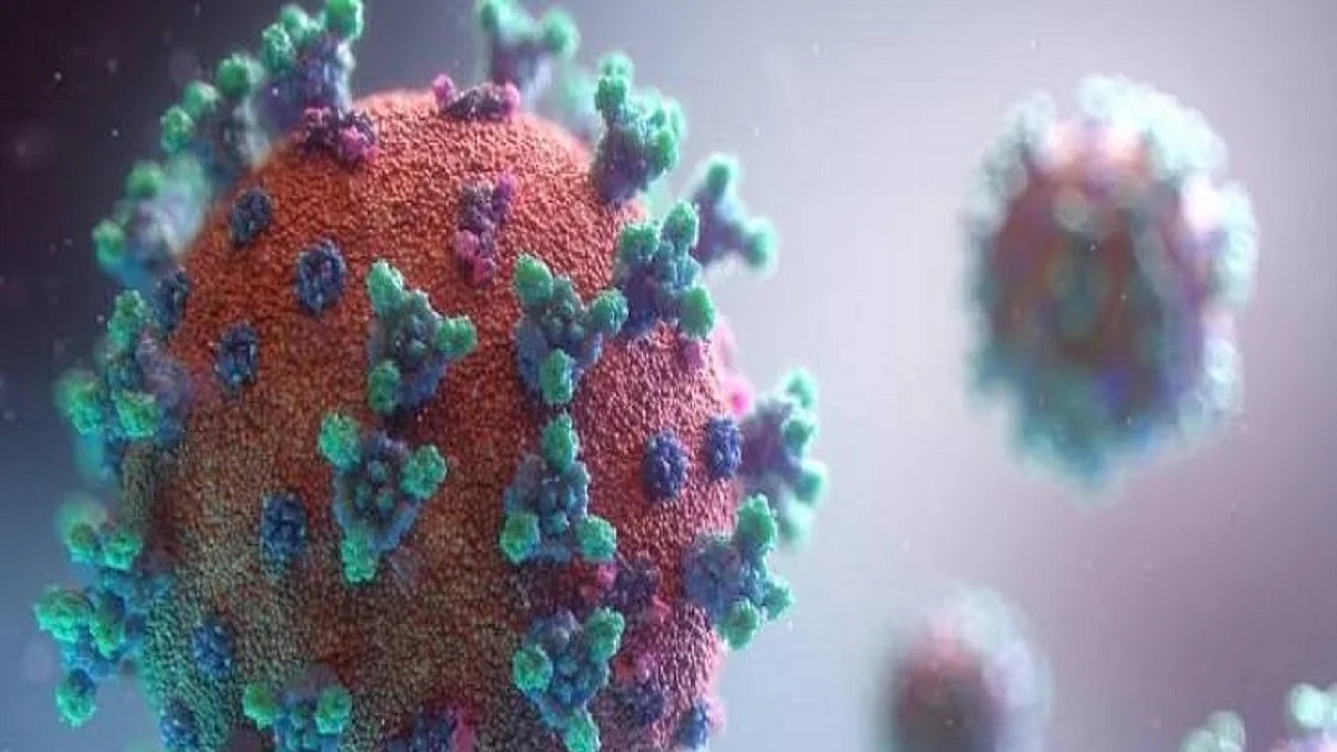 Representative Image (Photo Courtesy: IANS)