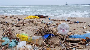 Single-use plastic items banned from July 1, 2022; Centre notifies amended rules
