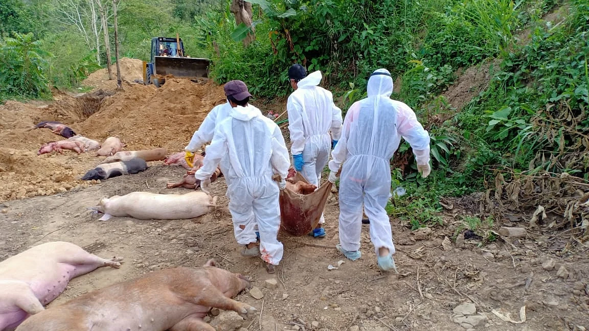 The first pig death due to the contagious disease was reported on March 21 at Lungsen village.