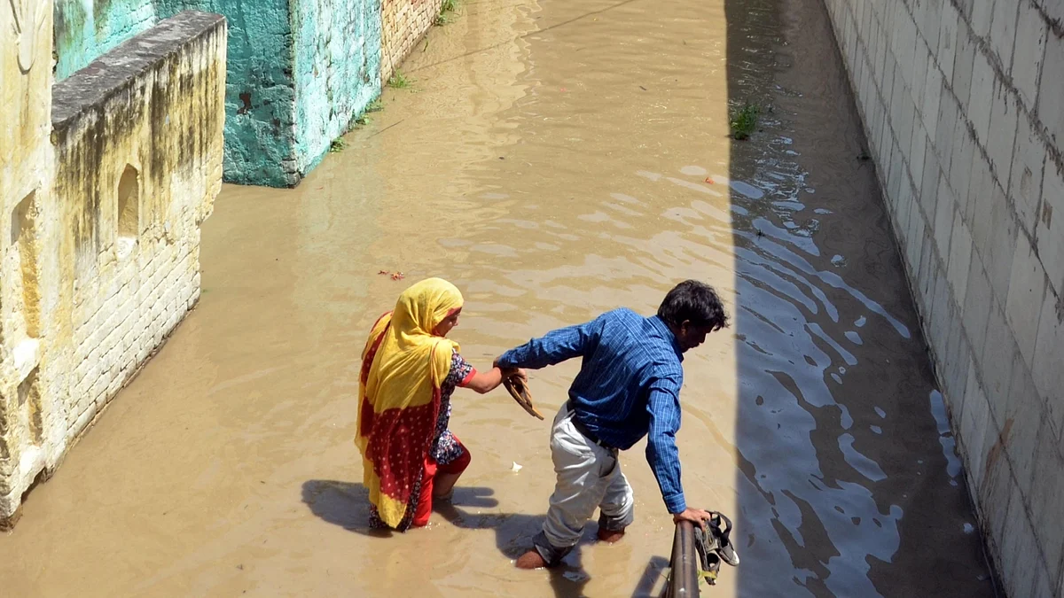 Representative image