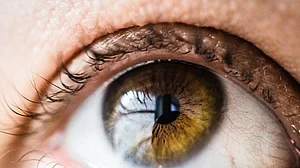 Representative Image (Photo Courtesy: IANS)