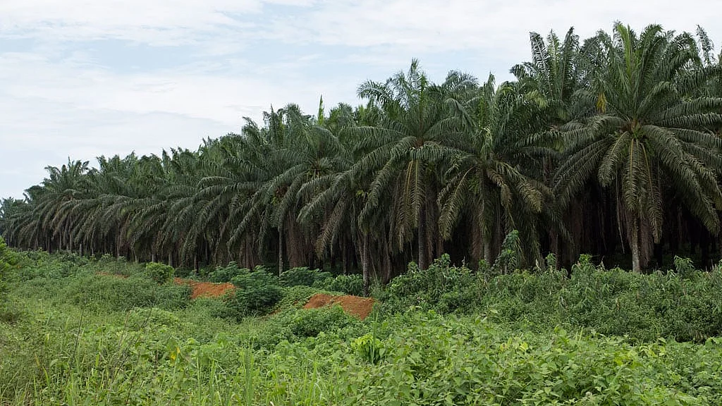 Reality Bites: We badly need a new planet